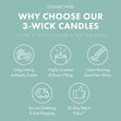 Load image into Gallery viewer, Island Cotton 3-Wick Candle
