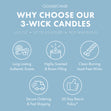 Load image into Gallery viewer, Island Hideaway 3-Wick Candle
