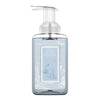 Island Hideaway Lush Foaming Hand Soap