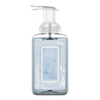 Load image into Gallery viewer, Island Hideaway Lush Foaming Hand Soap
