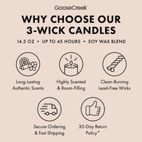 Ivory Pumpkin 3-Wick Candle