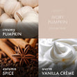 Load image into Gallery viewer, Ivory Pumpkin Plug-in Refill
