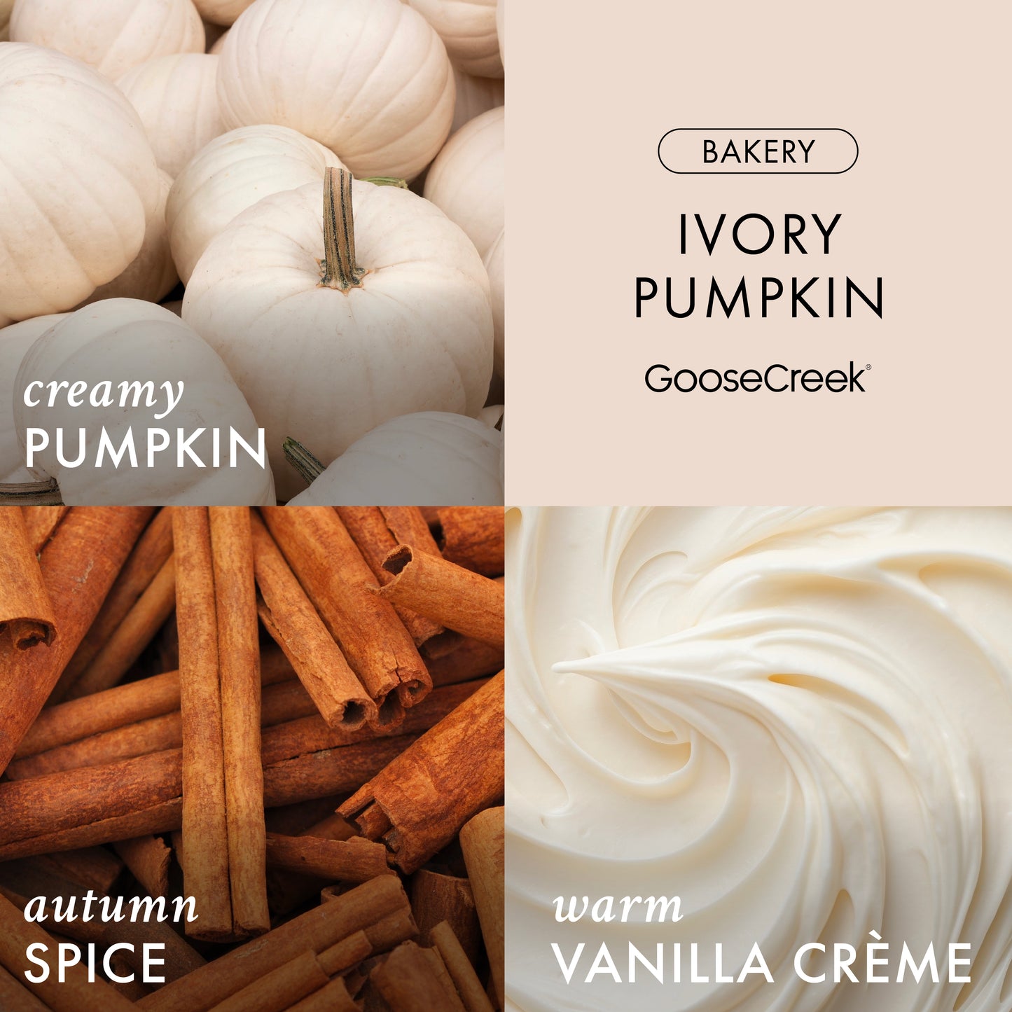 Ivory Pumpkin Wax Melt