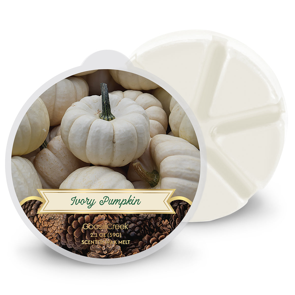 Ivory Pumpkin Wax Melt