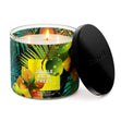 Load image into Gallery viewer, Jungle Palm Trees 3-Wick Candle

