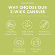 Load image into Gallery viewer, Keroppi Hello Kitty 3-Wick Candle
