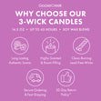 Load image into Gallery viewer, Lavender Snowfall 3-Wick Candle
