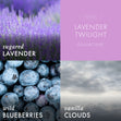 Load image into Gallery viewer, Lavender Twilight 3-Wick Candle
