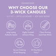 Load image into Gallery viewer, Lavender Vanilla 3-Wick Candle
