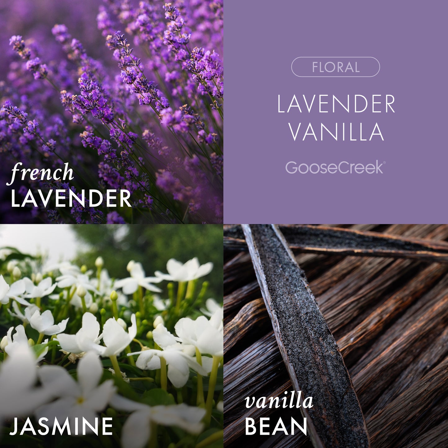Lavender Vanilla Lush Foaming Hand Soap