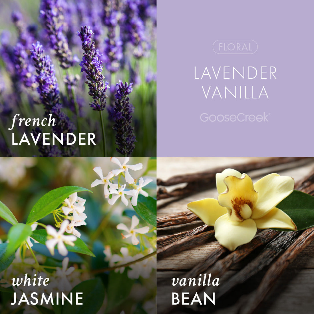 Lavender Vanilla Odor Eliminating Candle – Goose Creek Candle