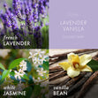 Load image into Gallery viewer, Lavender Vanilla Odor Eliminating 3-Wick Candle
