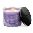 Load image into Gallery viewer, Lavender Vanilla Odor Eliminating 3-Wick Candle
