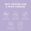 Load image into Gallery viewer, Lavender Vanilla Odor Eliminating 3-Wick Candle
