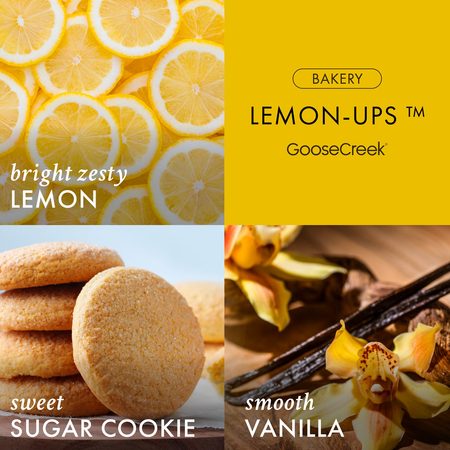 Lemon-Ups Girl Scouts 3-Wick Candle