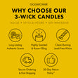 Load image into Gallery viewer, Lemon-Ups Girl Scouts 3-Wick Candle
