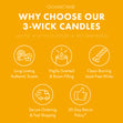 Load image into Gallery viewer, Limoncello Spritz 3-Wick Candle
