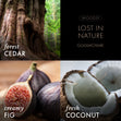 Load image into Gallery viewer, Lost In Nature 3-Wick Candle
