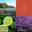Load image into Gallery viewer, Lost at Sea Odor Eliminating 3-Wick Candle
