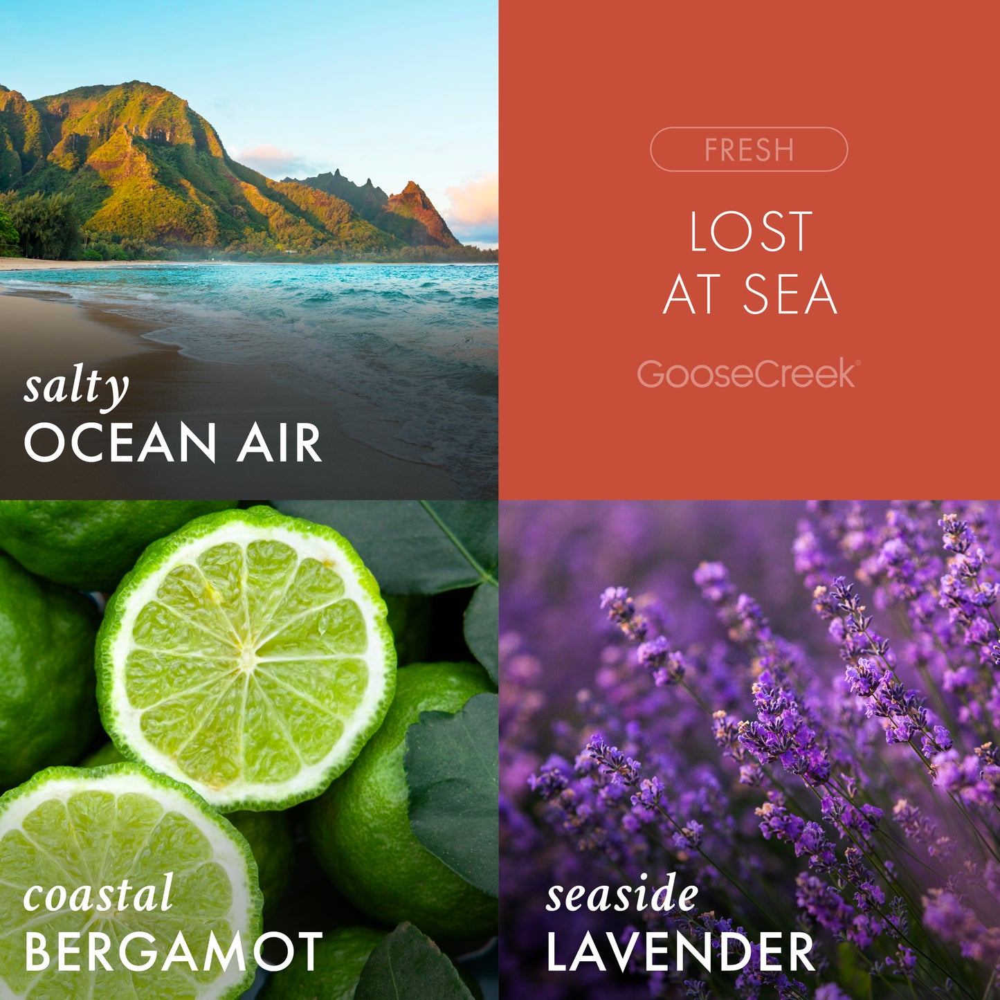 Lost at Sea Odor Eliminating Room Freshening Spray
