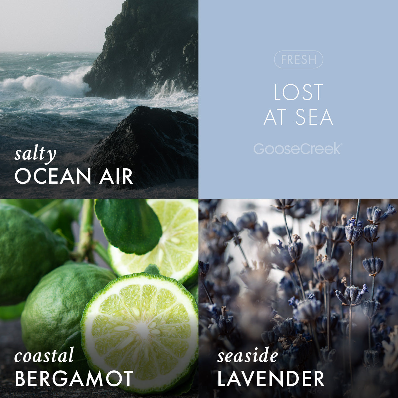 Lost at Sea Odor Eliminating Wax Melt