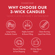 Load image into Gallery viewer, Lumberjack 3-Wick Candle
