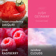 Load image into Gallery viewer, Lush Getaway Lush Foaming Hand Soap
