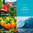 Load image into Gallery viewer, Lush Lagoon 3-Wick Candle
