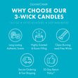 Load image into Gallery viewer, Lush Lagoon 3-Wick Candle
