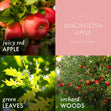 Load image into Gallery viewer, Macintosh Apple 3-Wick Candle
