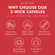 Load image into Gallery viewer, Macintosh Apple 3-Wick Candle
