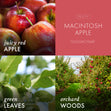 Load image into Gallery viewer, Macintosh Apple Plug-in Refill
