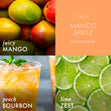 Load image into Gallery viewer, Mango Spritz 3-Wick Candle
