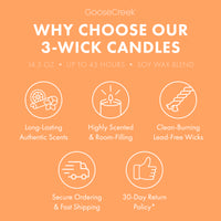 Mango Spritz 3-Wick Candle