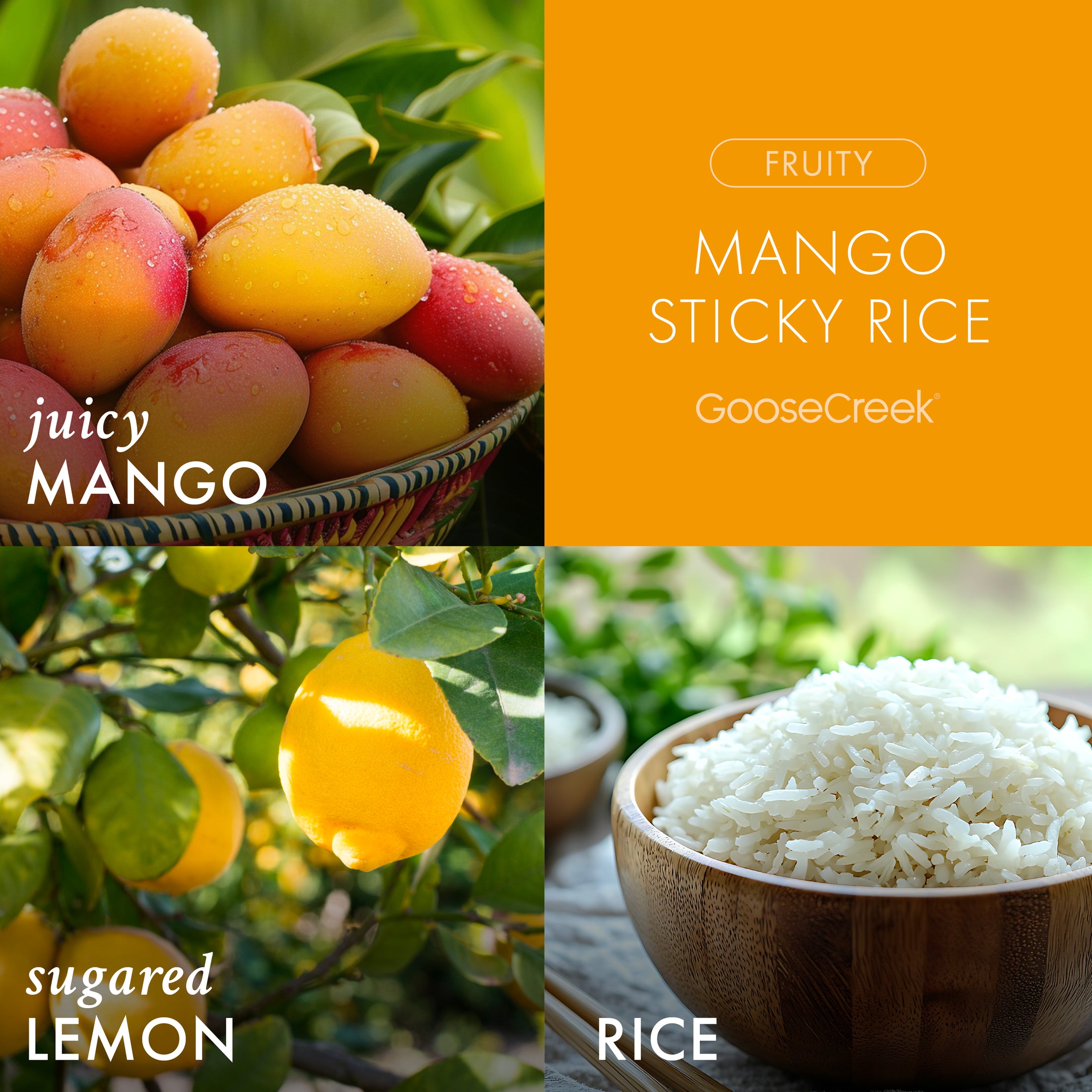 Mango Sticky Rice 3-Wick Candle – Goose Creek Candle