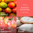 Load image into Gallery viewer, Mango Sunshine 3-Wick Candle
