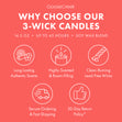 Load image into Gallery viewer, Mango Sunshine 3-Wick Candle
