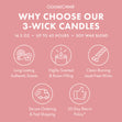 Load image into Gallery viewer, Maraschino Cider 3-Wick Candle

