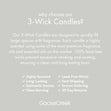 Load image into Gallery viewer, Marshmallows 3-Wick Candle
