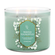 Load image into Gallery viewer, Minted Eucalyptus 3-Wick Candle
