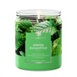 Load image into Gallery viewer, Minted Eucalyptus 7oz Single Wick Candle
