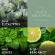 Load image into Gallery viewer, Minted Eucalyptus Wax Melt
