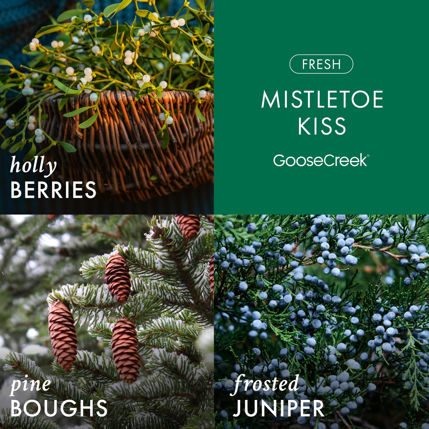 Mistletoe Kiss 3-Wick Candle