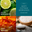 Load image into Gallery viewer, Misty Cottage Mornings 3-Wick Candle
