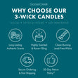 Load image into Gallery viewer, Misty Cottage Mornings 3-Wick Candle
