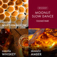 Load image into Gallery viewer, Moonlit Slow Dance 3-Wick Candle
