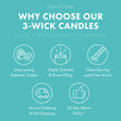Load image into Gallery viewer, Mount Fuji Mist 3-Wick Candle
