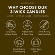 Load image into Gallery viewer, Nesting Season 3-Wick Candle
