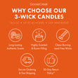 Load image into Gallery viewer, Nickelodeon 3-Wick Candle
