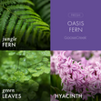 Load image into Gallery viewer, Oasis Fern 3-Wick Candle
